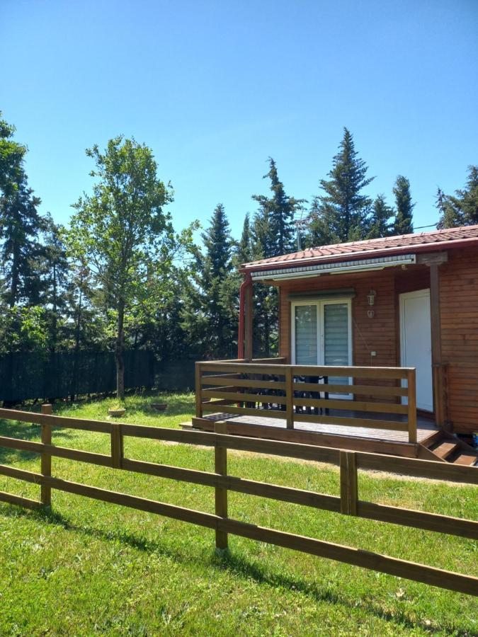 Chalet 4 Personnes Montolieu Exteriér fotografie